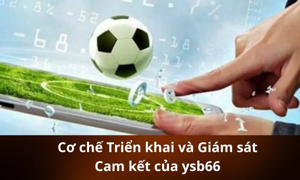 Cơ chế Triển khai và Giám sát Cam kết của ysb66