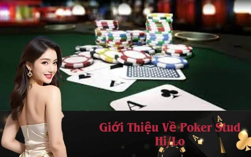Giới Thiệu Về Poker Stud Hi/Lo