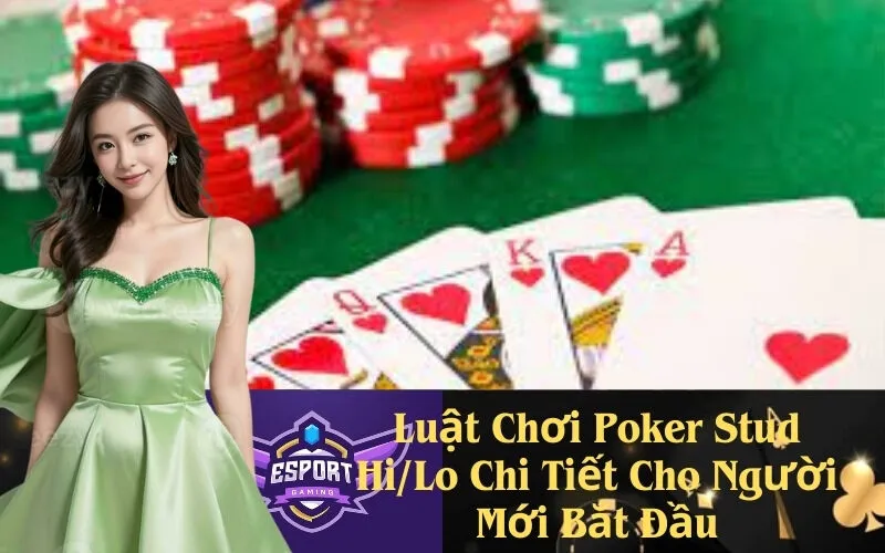 Luật Chơi Poker Stud Hi/Lo Chi Tiết Cho Người Mới Bắt Đầu