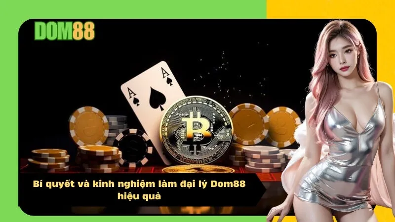 Bí quyết và kinh nghiệm làm đại lý Dom88 hiệu quả