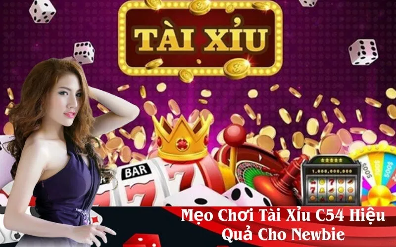 Mẹo Chơi Tài Xỉu C54 Hiệu Quả Cho Newbie