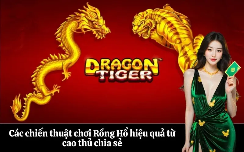 Các chiến thuật chơi Rồng Hổ hiệu quả từ cao thủ chia sẻ