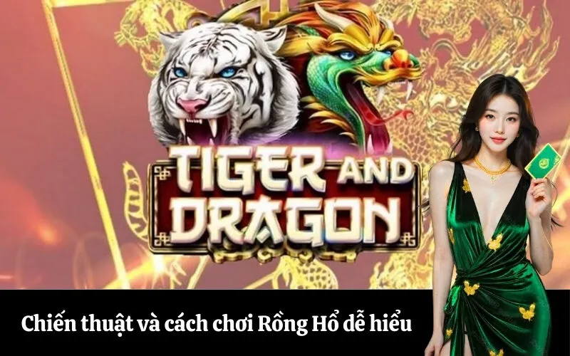 Chiến thuật và cách chơi Rồng Hổ dễ hiểu