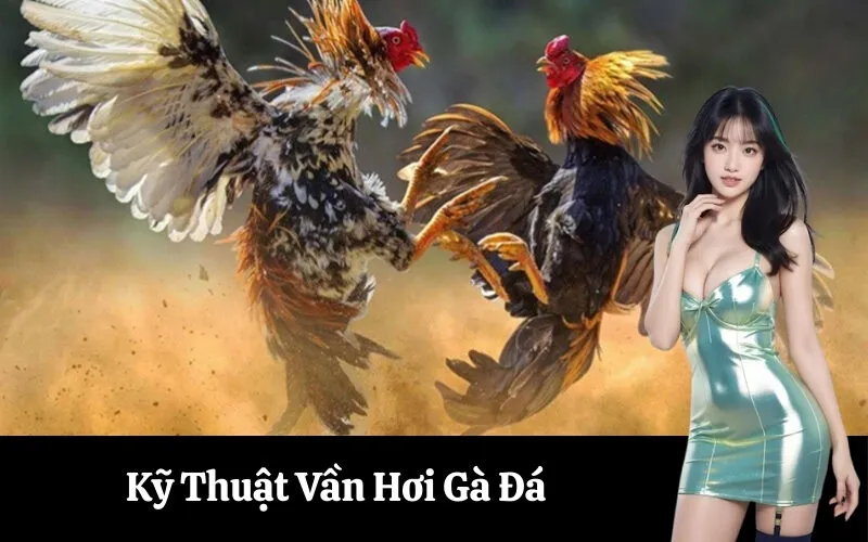 Kỹ Thuật Vần Hơi Gà Đá